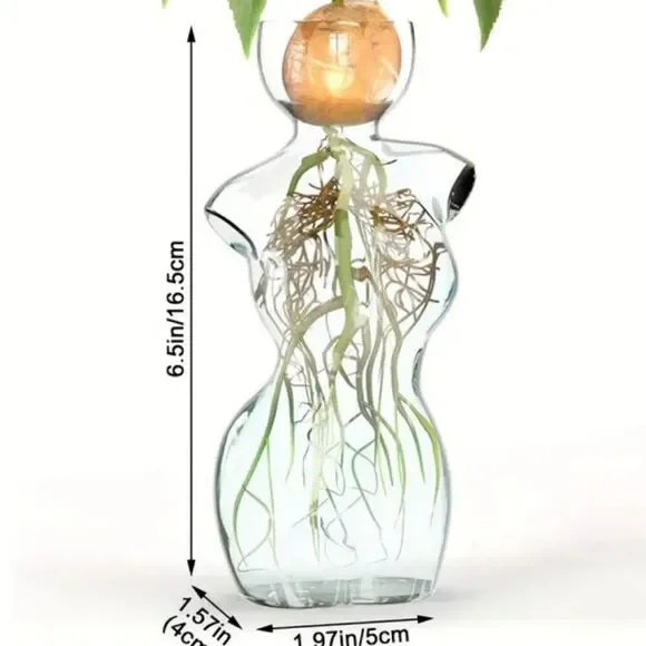 Elegant Glass Vase with Green Plant - Picture 7 of 7